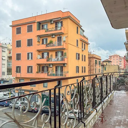 Metro C -castani Charm *